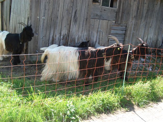 DSC00032.JPG